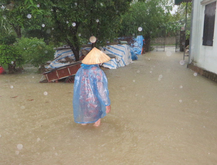 Hầu hết sân ngõ các hộ dân ở xóm 7, xã Quỳnh Mỹ bị ngập nước. Ảnh: Xuân Bảy