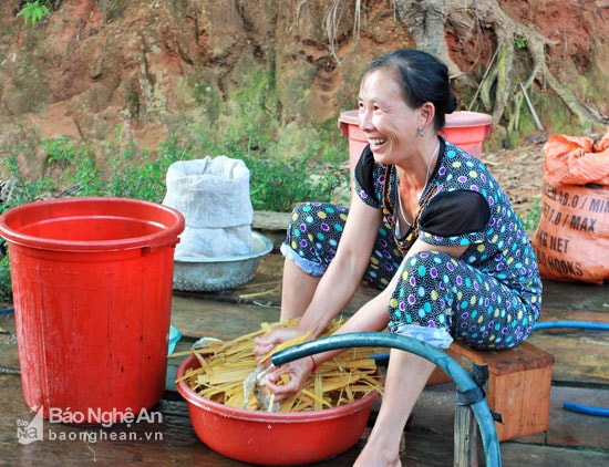 Những cây giang (một loại cây cùng họ tre, nứa) trong rừng được chọn làm giấy là loại cây không non, không già man về chẻ bỏ phần phía ngoài à cật phía trong sau đó đem rửa sạch. Ảnh: Đào Thọ