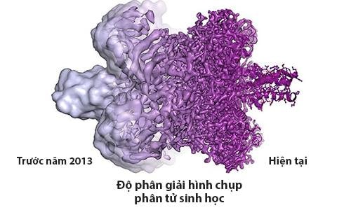 Kỹ thuật mới giúp chụp phân tử sinh học sắc nét hơn. Đồ họa: Guardian.