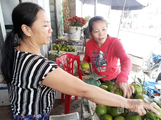 Người dân Thị trấn huyện Quỳnh Lưu chọn mua cam bán ngoài thị trường. Ảnh: Việt Hùng