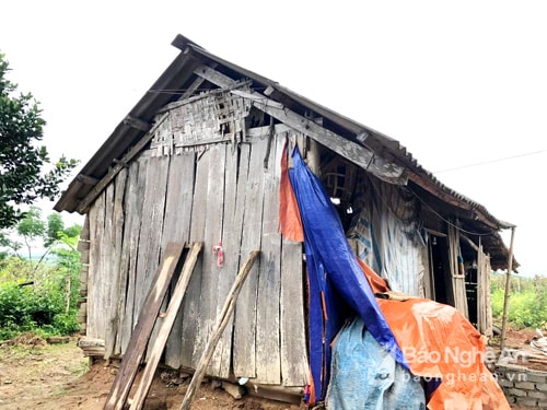 Ngôi nhà của gia đình chị đang ở