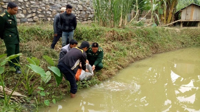 Bộ đội Đòn Biên phòng Mỹ Lý hỗ trợ cá giống cho người dân xã Bắc Lý. Ảnh: Ngọc Tú