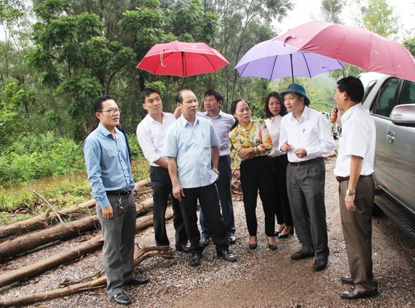 Đoàn khảo sát tại dự án Trạm trộm nghiền bê tông Nghi Yên. Ảnh: Minh Chi