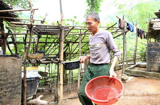 Ông Nguyễn Viết Nam trong khuôn viên vườn rừng của gia đình mình. Ảnh Hồ Phương