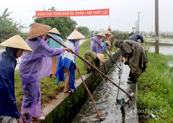 Người dân xã Hưng Hòa đội mưa nạo vét kênh mương, khơi thông dòng chảy. Ảnh: Quang An