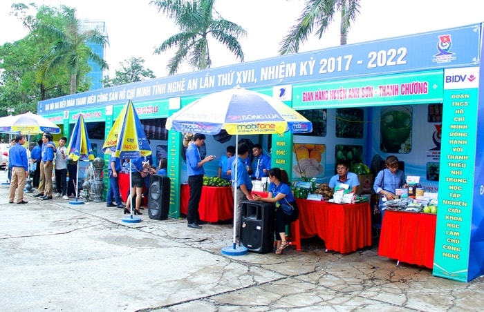 Hội chợ đã quy tụ 16 gian hàng do đoàn viên thanh niên trên địa bàn tỉnh Nghệ An tự sản xuất, tham gia với nhiều sản phẩm đa dạng mẫu mã, phong phú chủng loại. Ảnh: Mỹ Nga.