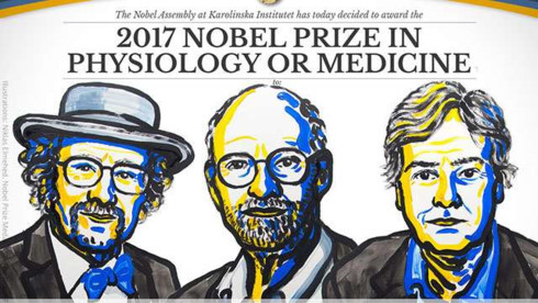 Những người đoạt giải Nobel Y học 2017. Ảnh: DNA India.