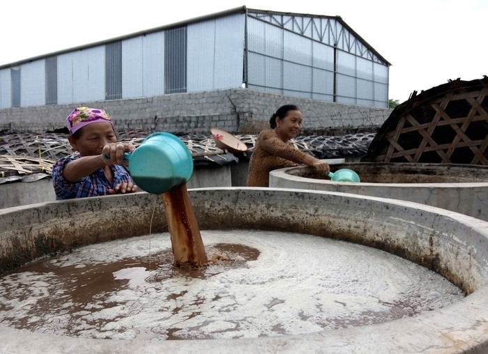 Mô hình phụ nữ liên kết phát triển kinh tế, nghề chế biến hải sản ở Diễn Ngọc. Ảnh Mai Giang