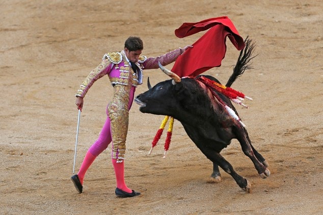 10. Cấm đấu bò tót. Năm 2010, chính quyền xứ Catalan từng ban hành lệnh cấm đấu bò - môn thể thao được coi là biểu tượng của đất nước Tây Ban Nha. Chính quyền Tây Ban Nha ngay sau đó đã can thiệp để hủy bỏ lệnh cấm này.