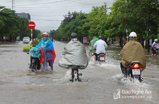 Sáng 10/10, cơn mưa lớn đã khiến cho nhiều tuyến đường ở thành phố Vinh ngập nặng. Nhiều người dân thành phố Vinh khá chật vật mới tìm được đường bớt ngập để đến cơ quan. Ảnh tư liệu