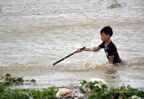 Mưa lũ khiến nhiều vùng ngập sâu, tiềm ẩn nguy hiểm cho người dân, đặc biệt là các em học sinh. Ảnh: X.H