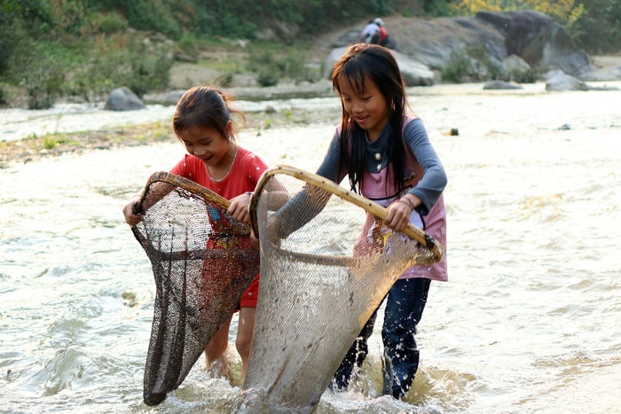 Trẻ em vùng cao xúc cá suối. Ảnh: Đào Thọ