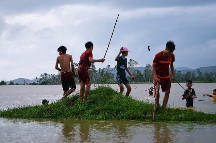 Những gò đất còn lại giữa cánh đồng ngập nước là nơi lũ chuột tìm đến ẩn náu trong mưa lũ. Người dân tập trung tóm bắt chúng tại đây. Ảnh: Lê Khánh Thành