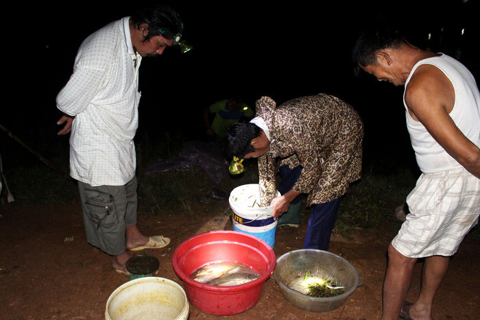 Khi đưa đó đi đặt, thường phải canh, cứ 30 phút đến 1 tiếng đồng hồ lại đi “đổ đó” 1 lần. Anh Nguyễn Doãn Dũng ở xóm 8, xã Xuân Tường (Thanh Chương) cho biết: Nhà anh làm chiếc đó lưới to, mỗi năm chỉ đem ra dùng một vài bữa. Đợt mưa này, tuy phải thức cả đêm để canh đó, nhưng cũng kiếm được mấy yến cá, ngoài làm thức ăn còn dư để bán. Ảnh: Huy Thư