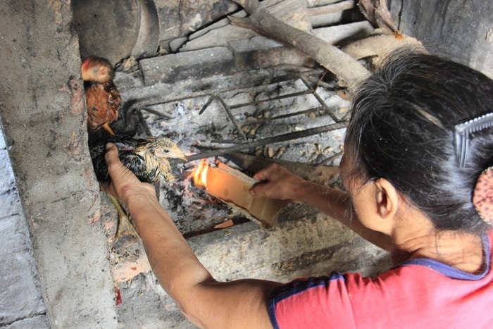 Bà Ngô Thị Minh (xóm 7, Hưng Lợi, Hưng Nguyên) đang sưởi ấm cho những con gà còn sống sót sau trận mưa. Bà Minh cho hay: “Nhà tôi nuôi khoảng 250 con gà và vịt, tối qua mưa lớn không kịp di dời nên đã bị trôi mất khoảng 50 con gà. Bây giờ, phải sưởi ấm những con còn sống xem có cơ hội cứu được con nào hay con đó”. Ảnh tư liệu