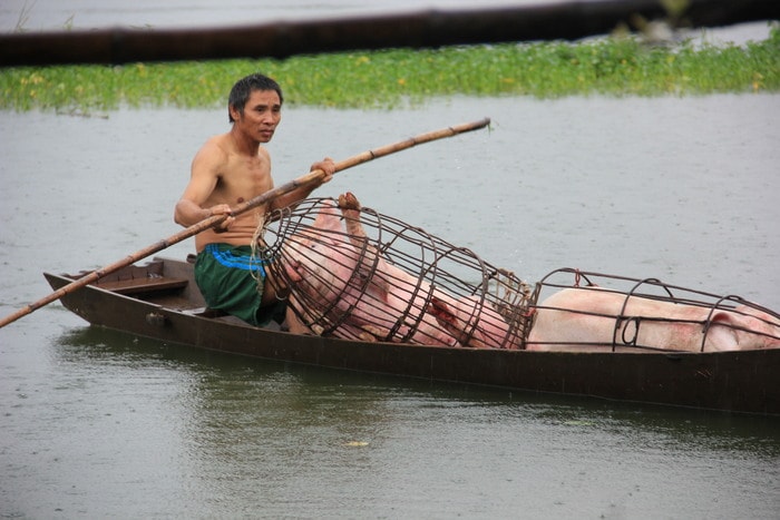 Xã Hưng Nhân (Hưng Nguyên) hiện có xóm 1 và xóm 2 hầu như đã bị cô lập bởi nước bao quanh. Ảnh chụp tại xóm 2 xã Hưng Nhân sáng ngày 11/10. Ảnh: Thiên Thiên