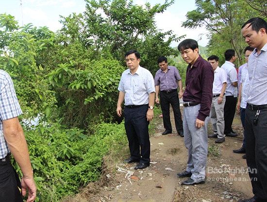 Kiểm tra tại đê kênh thấp trên sông Vinh