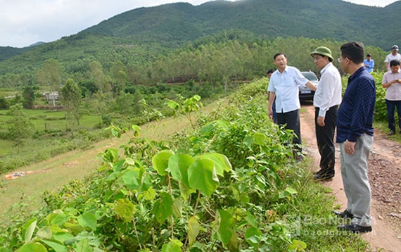 Bí thư Tỉnh uỷ kiểm tra thân đập hồ chứa nước Khe Thị tại xã Nghi Công Nam, huyện Nghi Lộc. Ảnh: Thành Duy