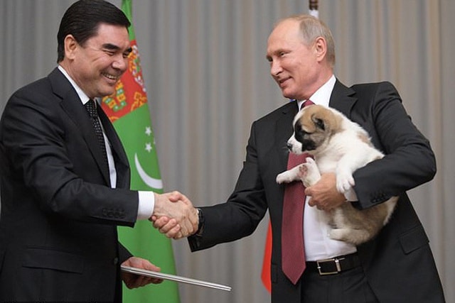 Tổng thống Turkmenistan Berdymukhamedov (trái) đã tặng một chú chó con cho Tổng thống Nga Putin trong cuộc gặp của họ ở khu nghỉ dưỡng Sochi, Nga vào hôm 11/10.