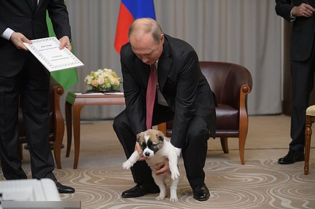 Tổng thống Putin đặt chú chó xuống sàn nhà.