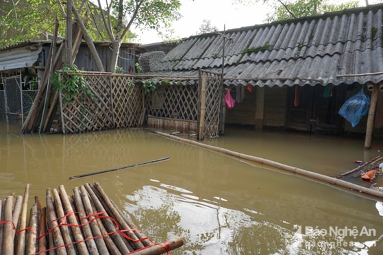 Cá biệt có khu vực, nhà dân ngập sâu dưới nước cả mét. Người và vật dụng phải di tản đi nơi khác. Ảnh: Thành Cường.