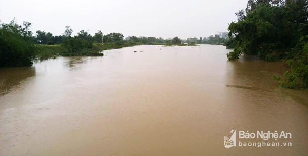 Nước sông Vinh đoạn qua địa bàn K. Tân Phượng (P. Vinh Tân) nhiều 