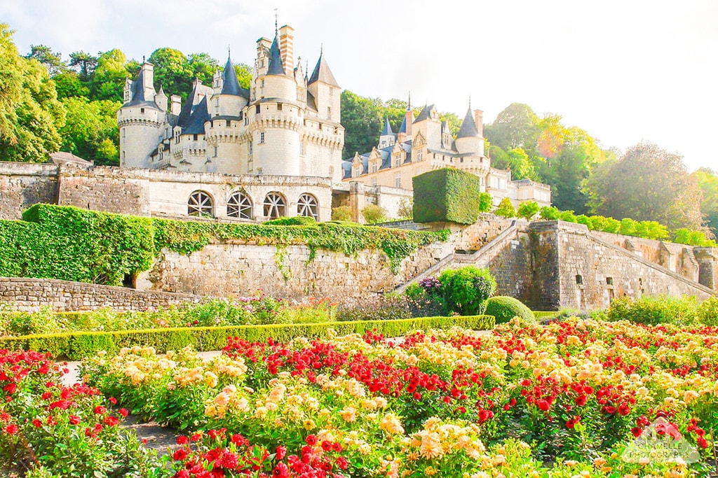 Thung lũng Loire, Pháp: Tại Thung lũng Loire của Pháp, bạn sẽ bắt gặp những vườn nho trải dài khắp các sườn đồi và thung lũng. Vào cuối tháng 10, rừng nho rực rỡ sắc màu, cùng hững cánh rừng và lâu đài là một cảnh tượng đáng để du khách thưởng thức. Ảnh: Chamelle Photography. 