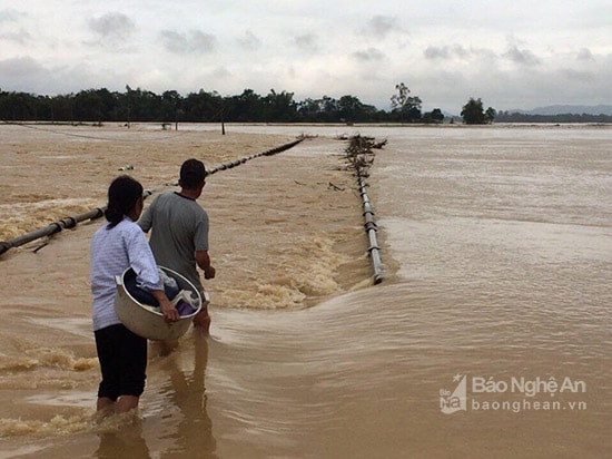 Con đường  độc đạo