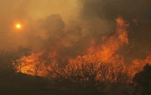 Ngọn lửa đã thiêu rụi 77.000 ha rừng ở California, Mỹ. Ảnh: Reuters.