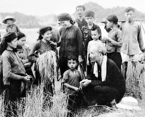 Chủ tịch Hồ Chí Minh thăm hỏi nông dân Hợp tác xã Hùng Sơn (huyện Đại Từ, tỉnh Thái Nguyên) đang gặt lúa, năm 1954.
