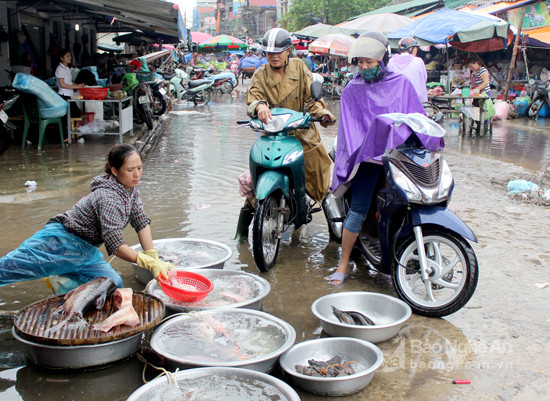 Phía sau chợ Vinh, hoạt đông kinh doanh buôn bán cũng đang dần trở lại. Người dân đã đi chợ với tần suất nhiều hơn. Ảnh: Quang An