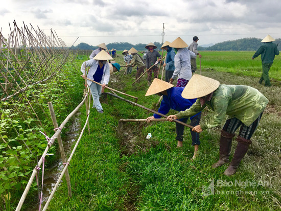 Nông dân xã Lưu Sơn (Đô Lương) làm mương dẫn để sản xuất rau màu vụ đông được thuận lợi. Ảnh: Ngọc Phương