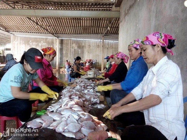 Mô hình phụ nữ liên kết phát triển kinh tế, nghề chế biến hải sản ở xã Diễn Ngọc (Diễn Châu). Ảnh: tư liệu
