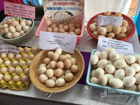 Sản phẩm trứng gà sạch của các hội viên Hội Phụ nự huyện Đô Lương. Ảnh: Ngọc Phương