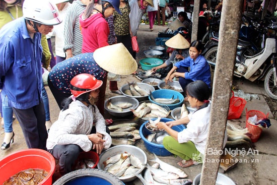  Mới mờ sáng, hàng cá các chợ lớn ở Thanh Chương như chợ Cồn, chợ Dùng, chợ Giăng, chợ Rạng… đã đông người mua bán. Ảnh: Huy Thư