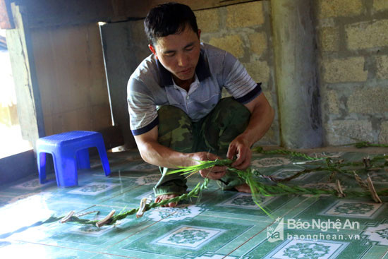 Ngoài ra, ngay trong lễ cúng, cây 