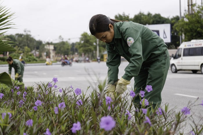 Dù là ngày lễ 20-10 nhưng những người công nhân công ty cây xanh vẫn phải làm việc để có những vườn hoa làm đẹp cho thành phố. Ảnh Đức Anh