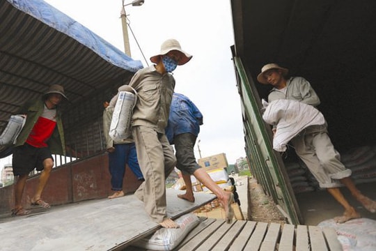 90% lao động phi chính thức là lao động không có chuyên môn, kỹ thuật.