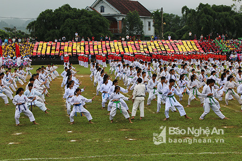 Màn đồng diễn karate ấn tượng của hơn 200 môn sinh đến từ các CLB võ thuật trên địa bàn huyện. Ảnh: Như Lành