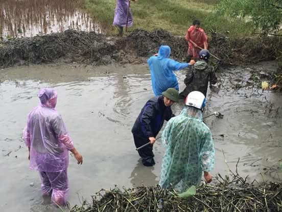 Đây là hoạt động của tuổi trẻ Hưng Nguyên nhằm chào mừng thành công của Đại hội Đoàn toàn tỉnh Nghệ An lần thứ XVII. Ảnh: Hữu Thái