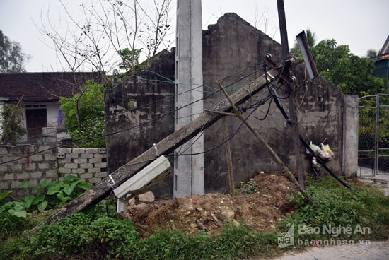 Ông Hồ Xuân Hương - Phó Chủ tịch UBND xã Đô Thành cho biết: sau cơn bão số 2 vừa qua, trên địa bàn xã có gần 200 cột điện bị gãy. Đến nay ngành điện mới thay thế được một số ít cột, phần lớn còn lại đang đổ gãy, bà con rất bức xúc, đặc biệt là tại xóm Xuân lai và Nam Vực. Địa phương đã về đích NTM, mong rằng các cấp, ngành sớm đầu tư nâng cấp để bà con được an toàn, sử dụng điện chất lượng hơn. Ảnh: Xuân Hoàng