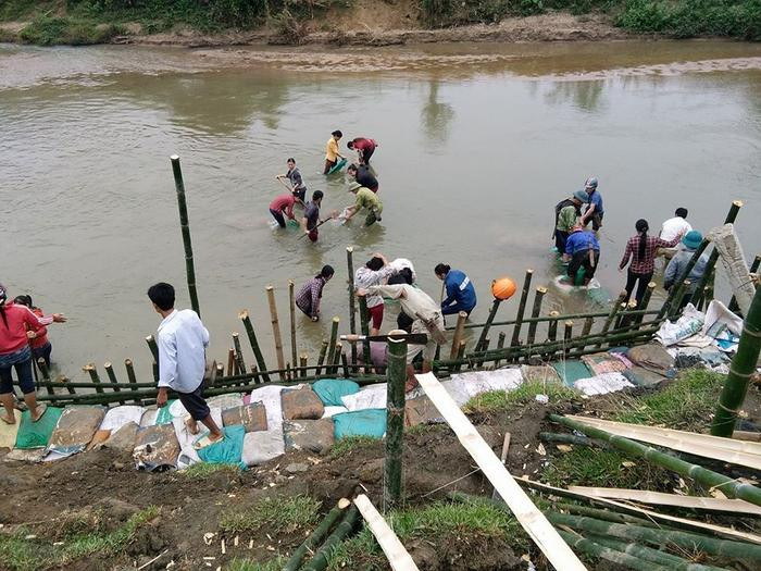 Chính quyền xã Châu Hoàn huy động người dân đóng cọc, kè tạm đoạn xung yếu dọc theo suối Nậm Cam. Ảnh: Bé Vinh 