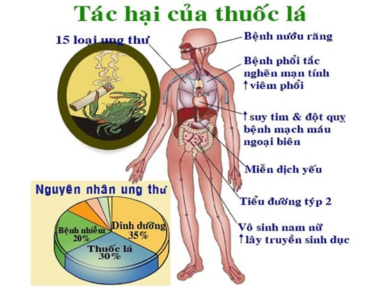 Thuốc lá là nguyên nhân dẫn đến nhiều bệnh ung thư và các bệnh nguy hiểm khác. Ảnh: Internet