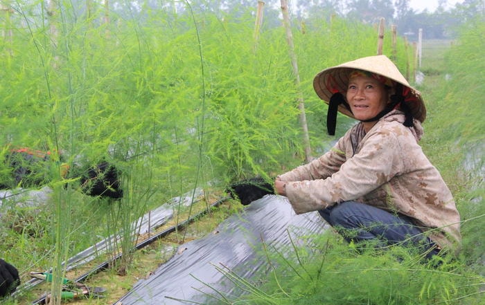 Nông dân Nghi Liên đang 