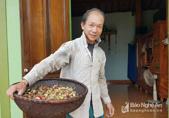 Ông Lương Văn Vĩnh cùng số quả dổi và hạt dổi thu được từ cây dổi của gia đình ông. Ảnh: Hồ Phương
