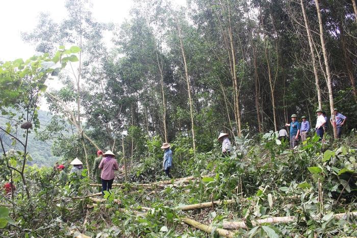 Việc cưỡng chế vẫn đang được tiến hành. Ảnh: Lân Thảo