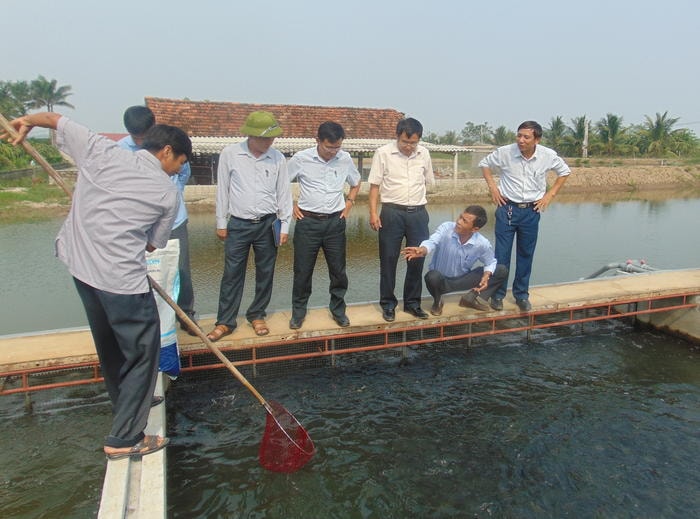 Mô hình nuôi cá theo công nghệ tạo “sông trong ao” của anh Đậu Đức Kính ở xã Quỳnh Văn (Quỳnh Lưu). Ảnh: Như Thủy