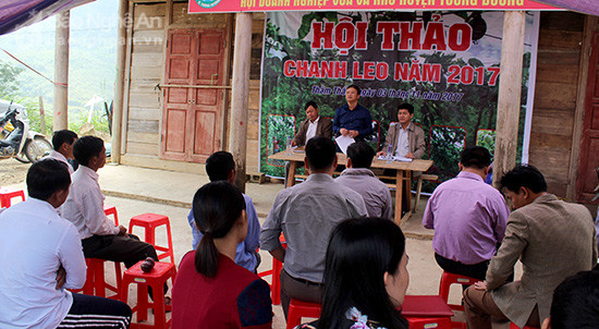 Lãnh đạo huyện Tương Dương quán triệt các địa phương quản lý chặt chẽ vùng quy hoạch, triển khai đồng bộ các giải pháp hỗ trợ người trồng chanh. 