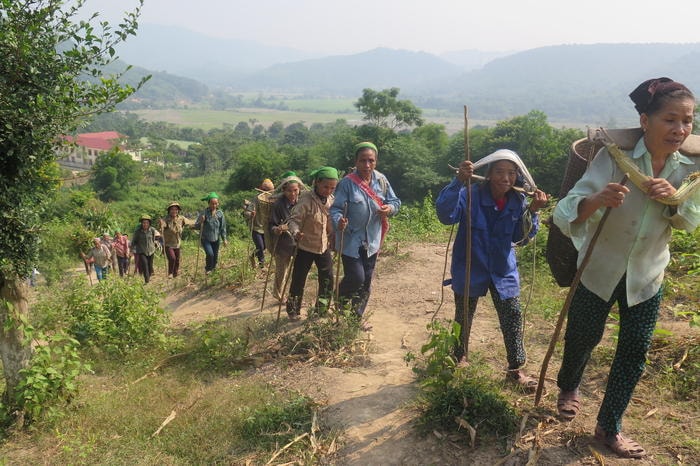 2.Ông Lô Quang Tình, Chi hội trưởng Hội Người cao tuổi bản Can cho biết “ Năm 2013 nhận thấy diện tích đất đồi đang bỏ hoang, khi đó Chi bộ bản đã định hướng cho ký các hội đăng trồng ngô trên diện tích đất này, vừa để tạo thêm thu nhập cho hội viện vừa trích một phần để đóng góp quỹ hoạt động của hội”.  Trong ảnh hội viên của Hội Người cao tuổi đang trên đường lên đồi bế ngô. Ảnh: Đình Tuân