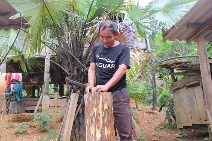 1.Ông Lương Văn Việt, ở bản Khổi, xã Tam Thái ( Tương Dương), là một trong những người có kinh nghiệm làm hông và làm hông đẹp. Theo chân ông chúng tôi đi lấy gỗ về làm hông. Ảnh: Đình Tuân2.Gỗ thường được dùng để làm hông, tiếng bản địa gọi là có xốm. Đây là loại cây thường sống ở ven khe suối. Ông Việt cho biết “ Có xốm là loại cây gỗ tạp nên khi đục cũng dễ, điều đặc biệt khi hông sẽ không bị nút nẻ và khi hông xôi sẽ không làm mất đi vị thơm của nếp”. Ảnh: Đình Tuân